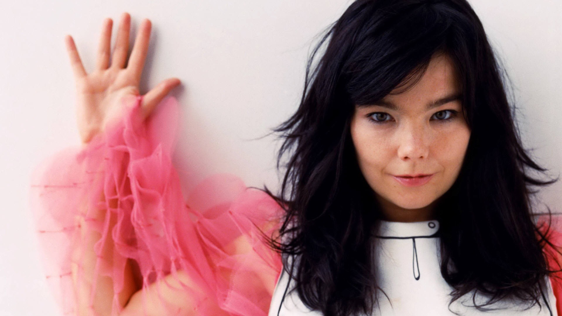 198398 bjork